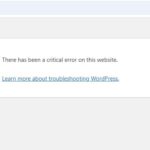 critical error.JPG