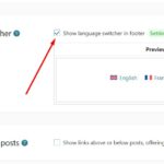 Footer lang switcher.jpg