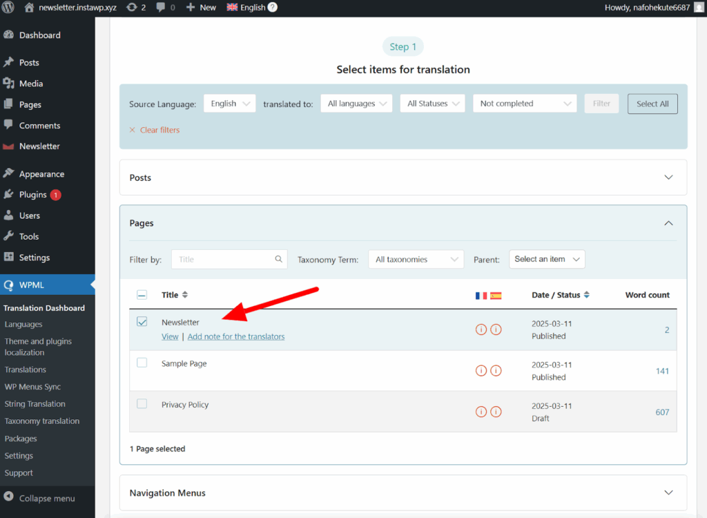 Selecting the Newsletter page in the Translation Dashboard