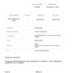 Your Invoice.png