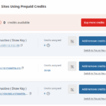 17461622-wpml_sites_using_prepaid_credits.png