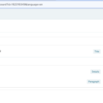 WPML_Advanced_translation_editor.png