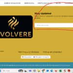 17471913-FORM_2.png FORM 2.png