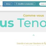 WPML_Translation Widget_2.JPG