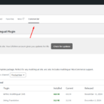 17497590-Step_1_unregister_wpml_9.png Step 1 - unregister wpml.png