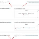 wpml language switcher.jpg