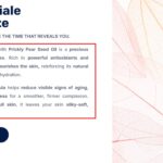 17525614-untranslated_sections.jpg untranslated sections.jpg