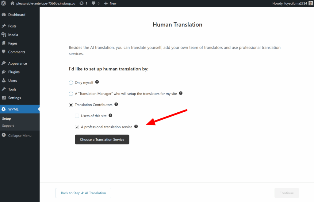 Choosing translation service