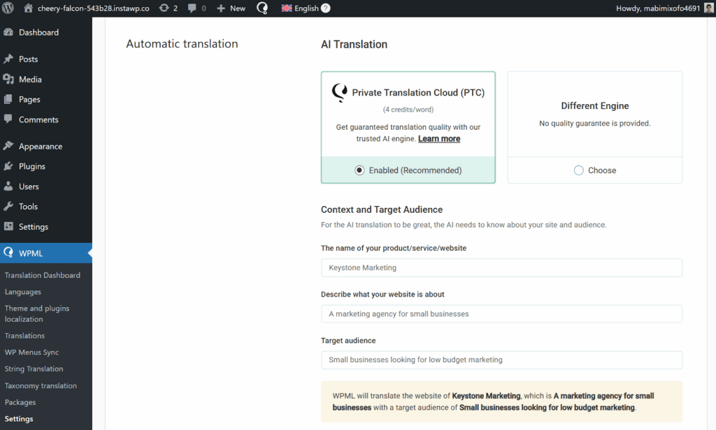 Editing translation context in WPML Settings