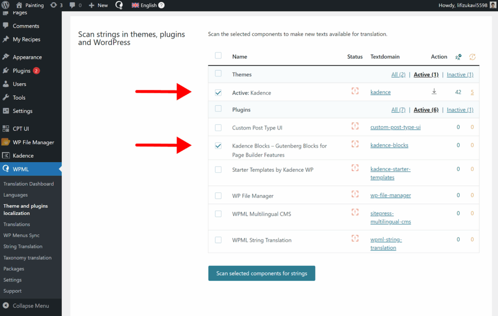 Scanning theme and plugin components