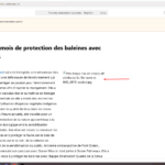 17543851-Screenshot_8_11.png Screenshot_8.png