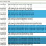 17556579-analisis_excel_problema_cargos_de_traducciones_duplicados.jpg analisis excel problema cargos de traducciones duplicados.jpg