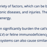 Übersetzte Textblöcke.png