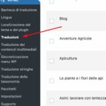 Screenshot 2025-11-19 alle 17.42.33.png