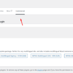 Step 2 - Register WPML.png