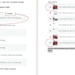 17618250-ImageImportLanguageDifferent_20251128.jpg ImageImportLanguageDifferent_20251128.jpg