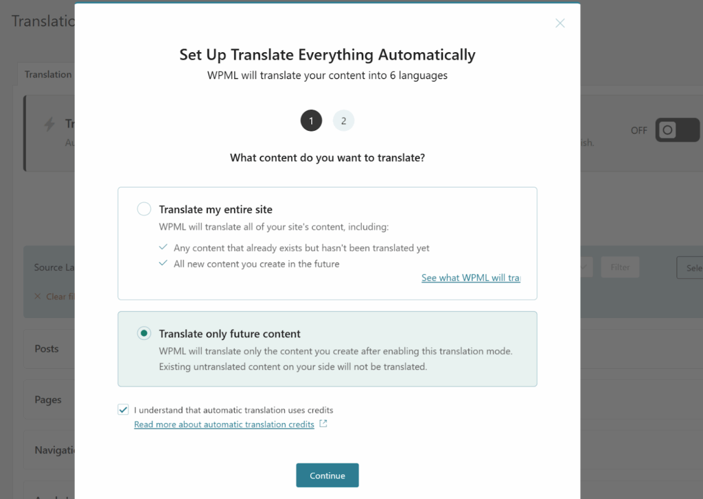 Choosing what to translate automatically