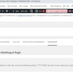 17640024-DEV.WPML_key_20251206.jpg DEV.WPML-key_20251206.jpg