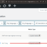 17644551-2025_12_08_svg_translation_issue.png 2025-12-08-svg-translation-issue.png