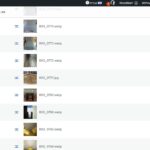 17653960-no_media_translation.jpg no media translation.jpg