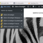 17659565-Capture_d_e_cran_le_2025_12_12_a_09.10.03.png Capture d’écran, le 2025-12-12 à 09.10.03.png