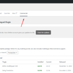 17722184-Step_1_unregister_wpml_10.png Step 1 - unregister wpml.png