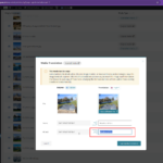 17728219-MT.png MT.png