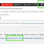 17751095-WPML_FR_permalink_example.png WPML FR permalink example.png