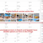 17772966-translation_options.jpg