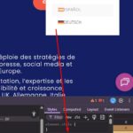17801132-lang_switch_dropdown_fix.jpg lang switch dropdown fix.jpg