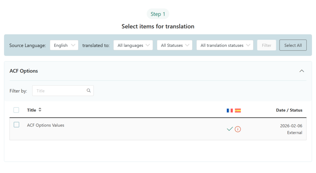 Options Page in Translation Dashboard