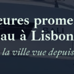 17893557-home_fr.png home-fr.png