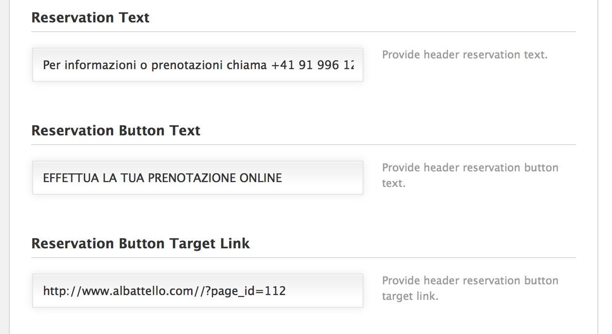 language switcher options wpml language switcher options wpml