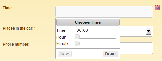 Translation Of The Date And Timepicker Wpml